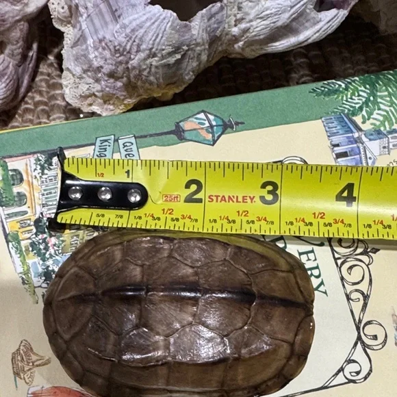 Real Brown Turtle Shell - Picture 7 of 9